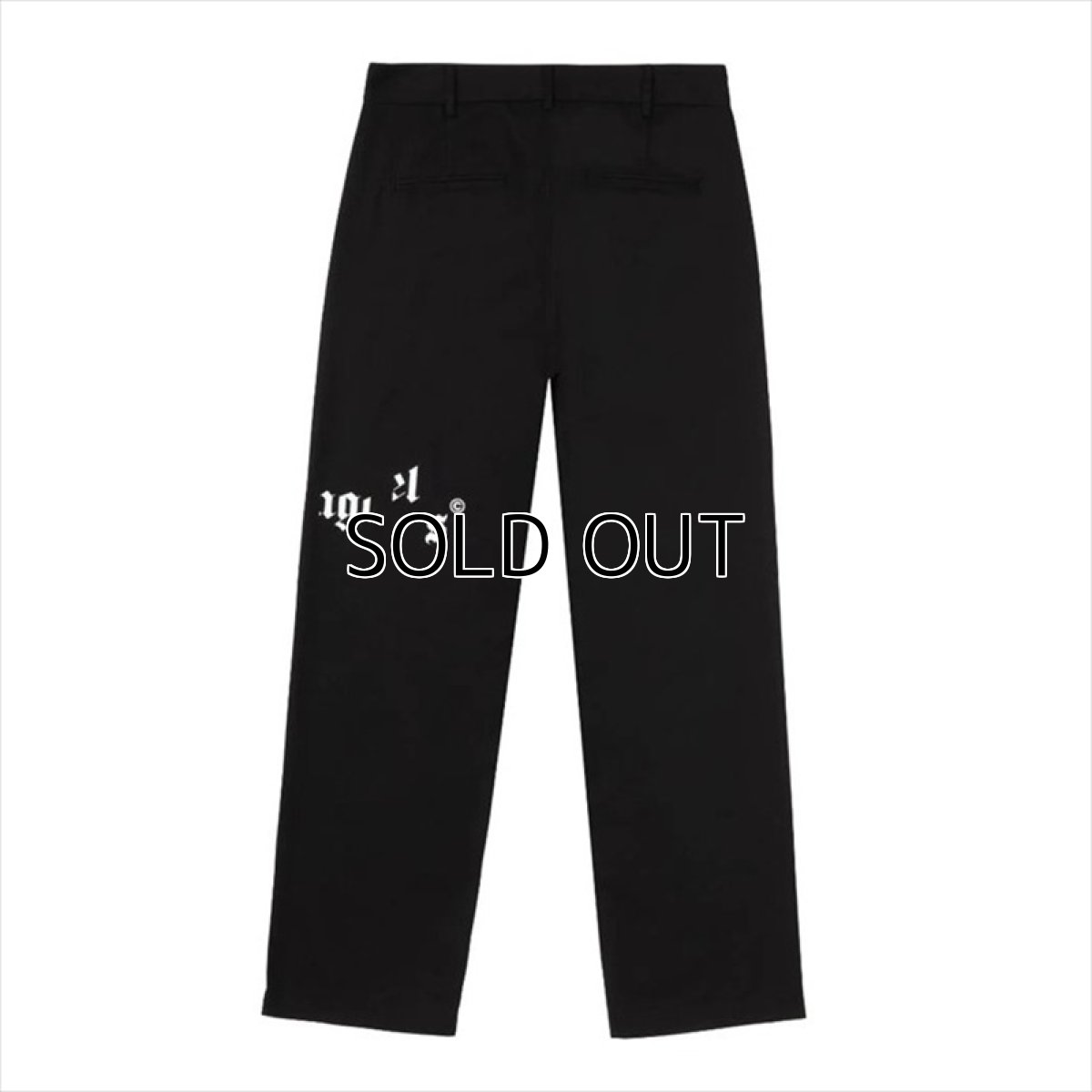画像2: PALM ANGELS Broken Logo Chinos (2)