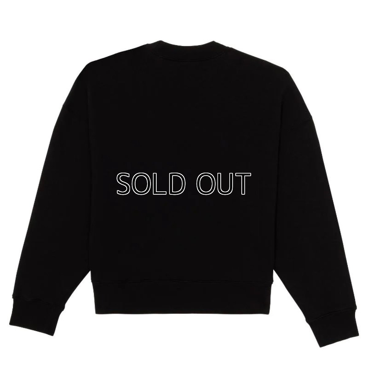 画像2: PALM ANGELS Croco Sweatshirt (2)