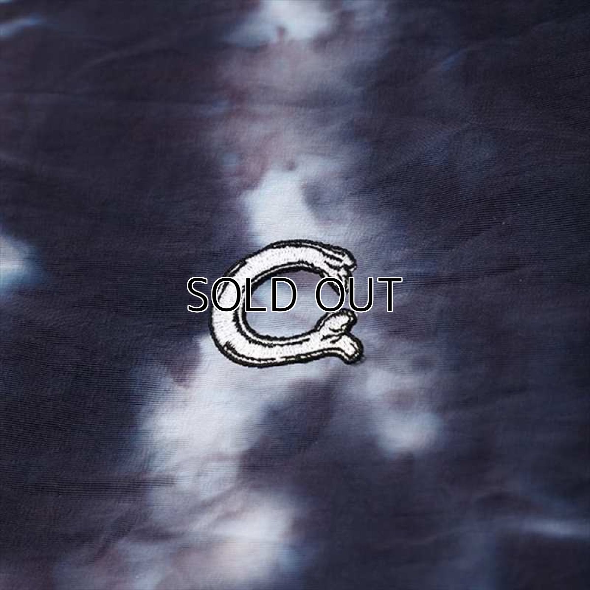 画像5: CHALLENGER The Dye Logo Coach Jacket (コーチジャケット) (5)