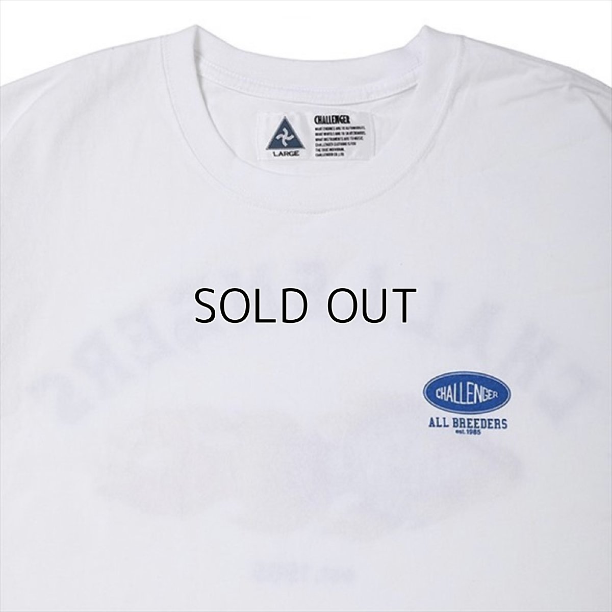 画像3: CHALLENGER Flame Fish Tee (Tシャツ) (3)