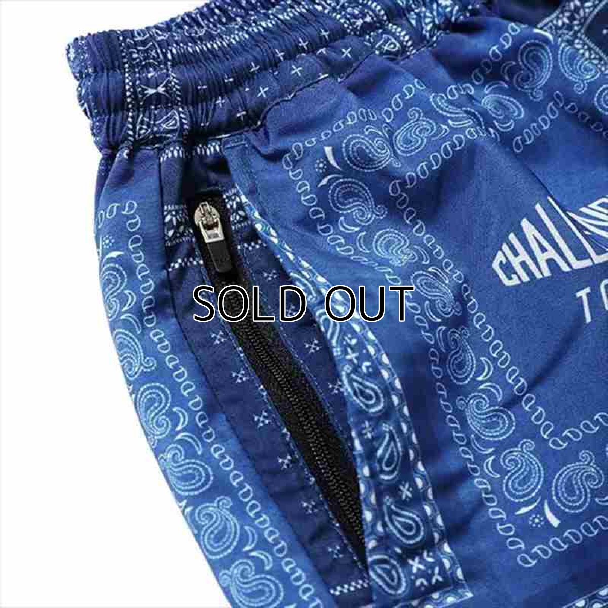 画像3: CHALLENGER Bandana Shorts (ショーツ) (3)