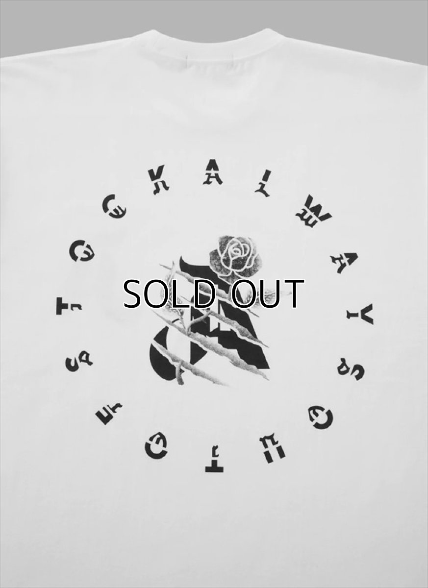 画像4: ALWAYS OUT OF STOCK Roze Tee (4)