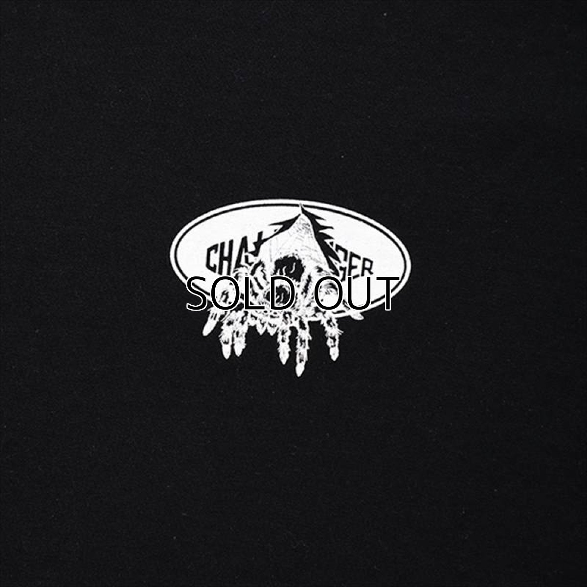 画像5: CHALLENGER Logo Spider Hoodie (パーカー) (5)