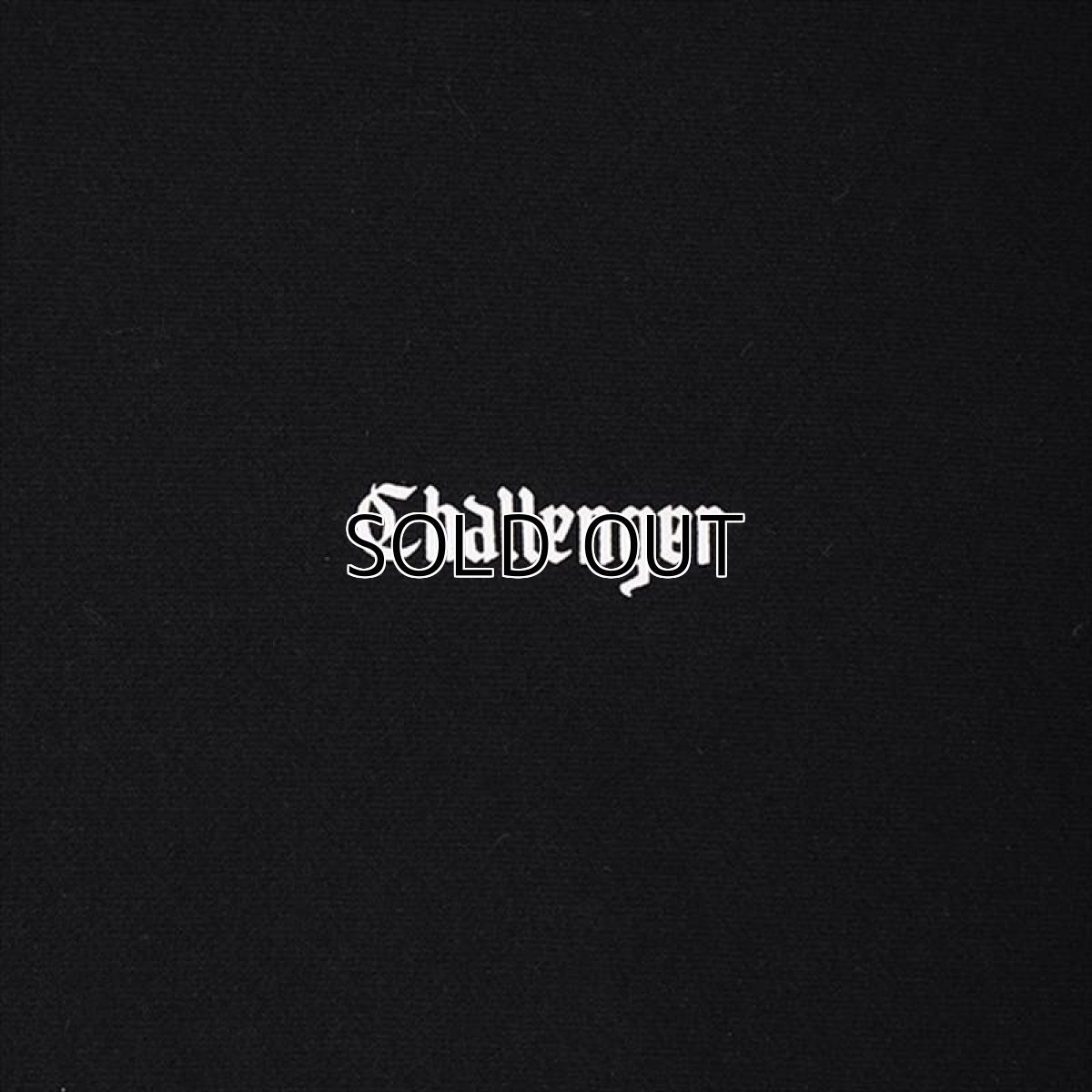 画像3: CHALLENGER Flames Hoodie (パーカー) (3)