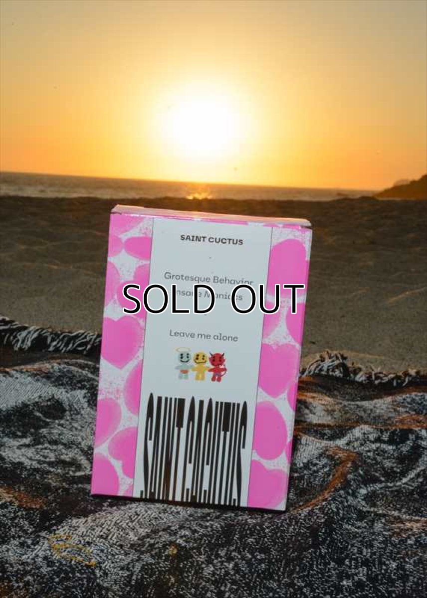 画像16: ©SAINT Mxxxxxx cactus plant flee market CP_PLUSH SMILES Multi (ぬいぐるみ) (16)