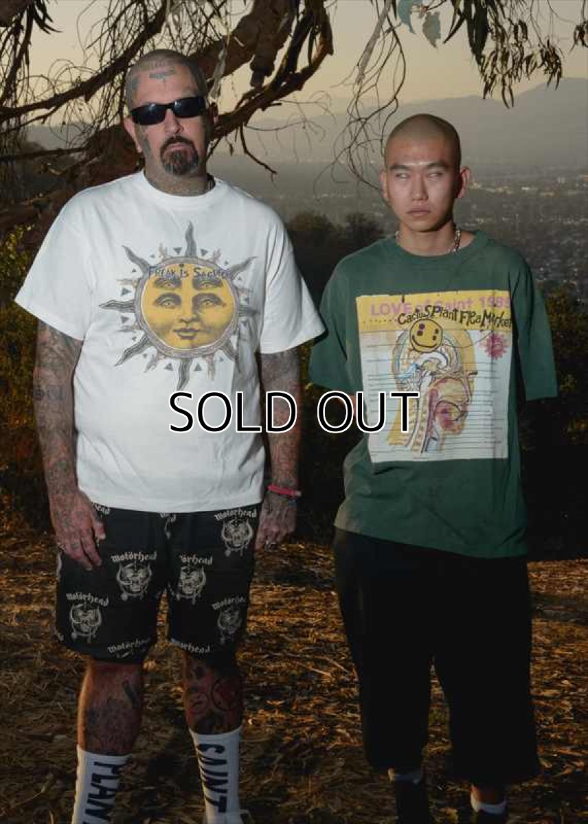 画像5: ©SAINT Mxxxxxx cactus plant flee market CP_SS TEE SUN White (Tシャツ) (5)