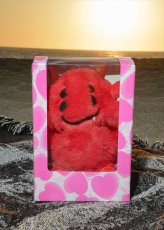 画像15: ©SAINT Mxxxxxx cactus plant flee market CP_PLUSH SMILES Multi (ぬいぐるみ) (15)