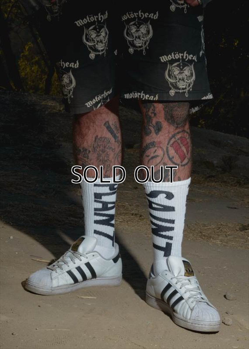 画像3: ©SAINT Mxxxxxx cactus plant flee market CP_SOCKS SNT PLANT White (ソックス) (3)