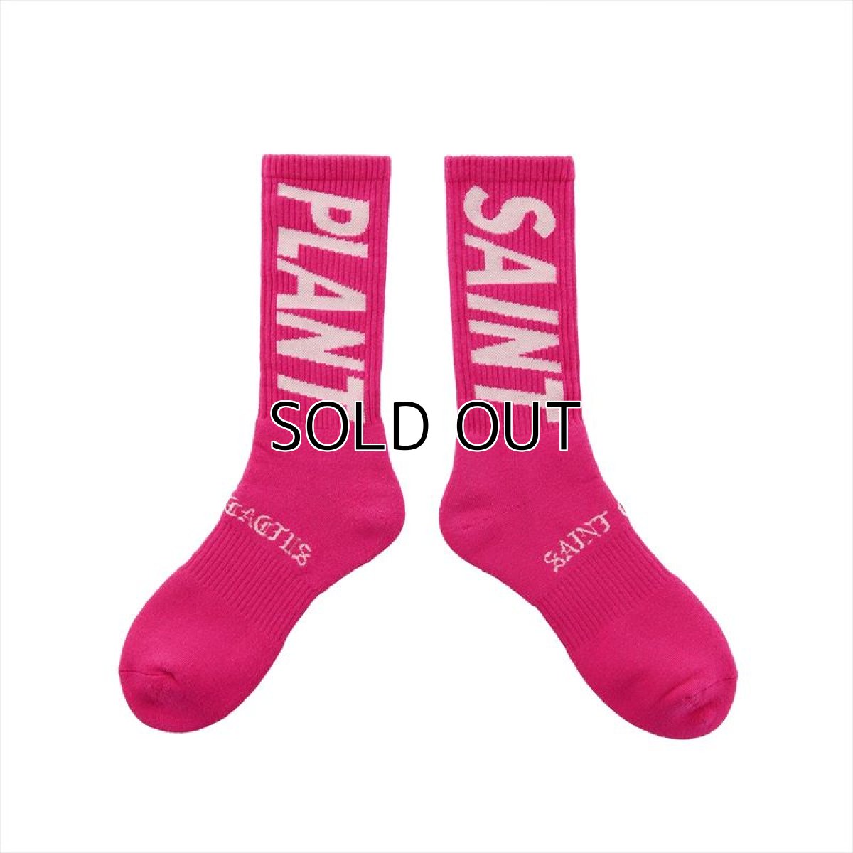 画像1: ©SAINT Mxxxxxx cactus plant flee market CP_SOCKS SNT PLANT Pink (ソックス) (1)