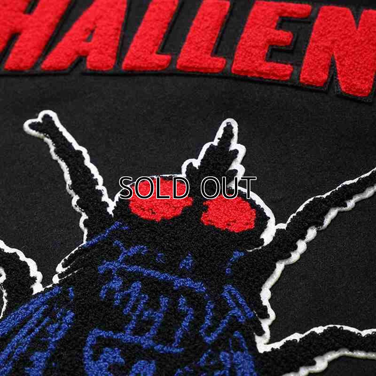 画像7: CHALLENGER 15th Varsity Jacket (7)