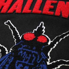 画像7: CHALLENGER 15th Varsity Jacket (7)