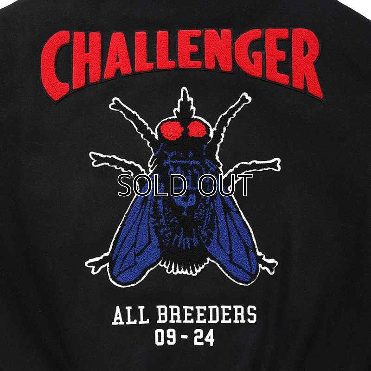 画像6: CHALLENGER 15th Varsity Jacket (6)