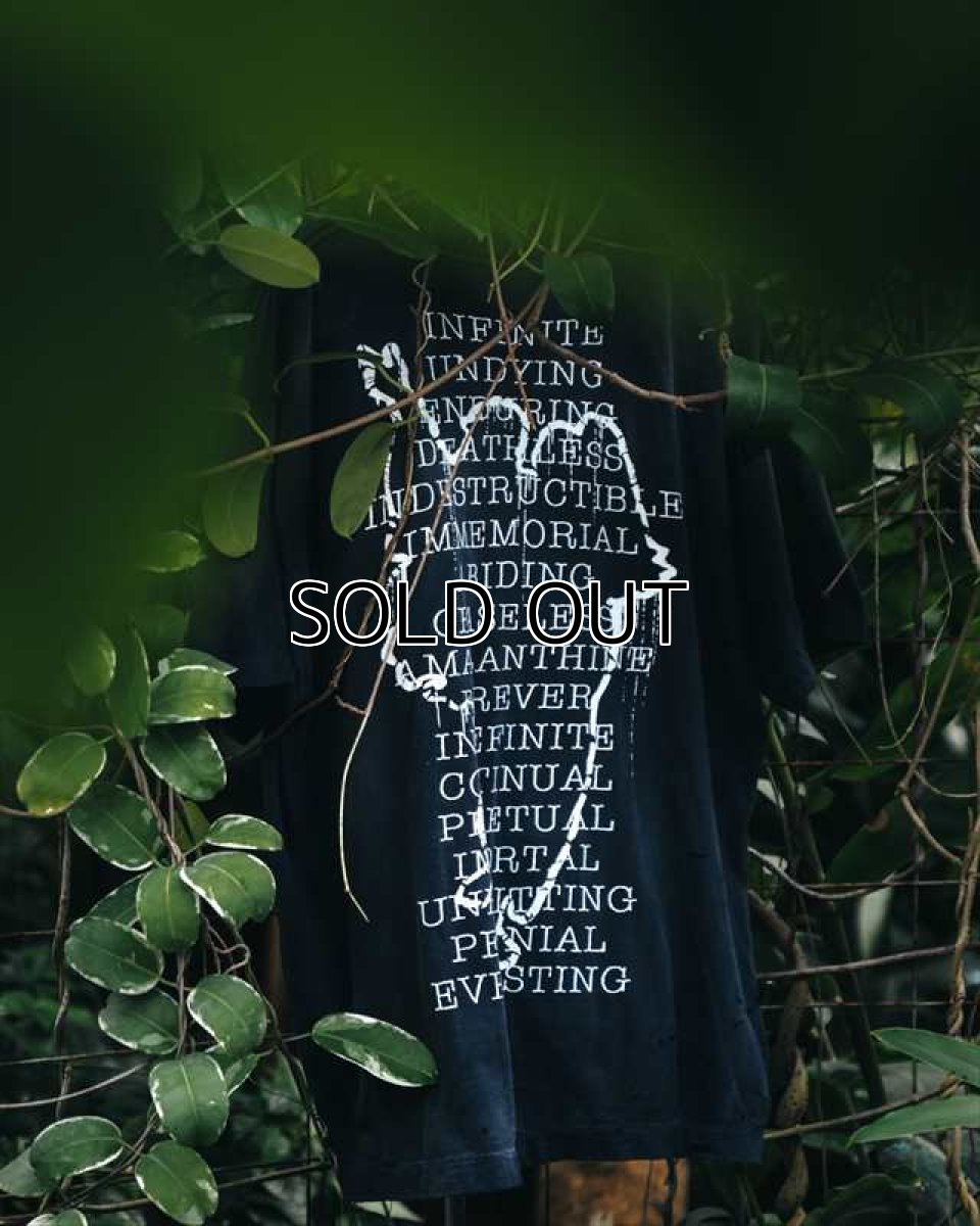画像4: ©SAINT Mxxxxxx SS TEE HOPE SPRING Black (Tシャツ) (4)