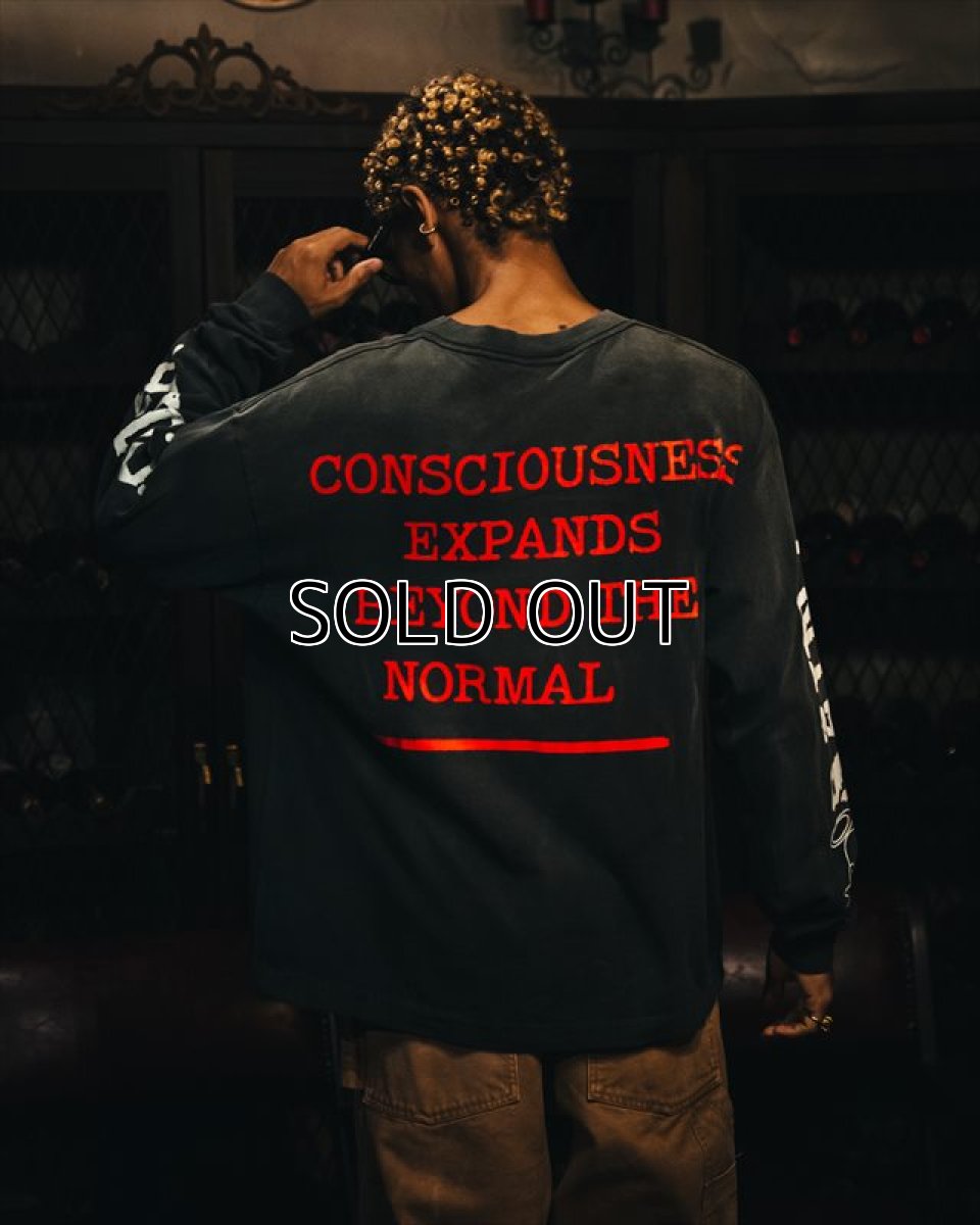 画像5: ©SAINT Mxxxxxx LS TEE SAINT YOUTH Black (ロングスリーブTシャツ) (5)