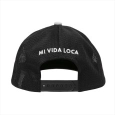 画像4: COOTIE PRODUCTIONS Suede 5 Panel Mesh Cap (メッシュキャップ) (4)