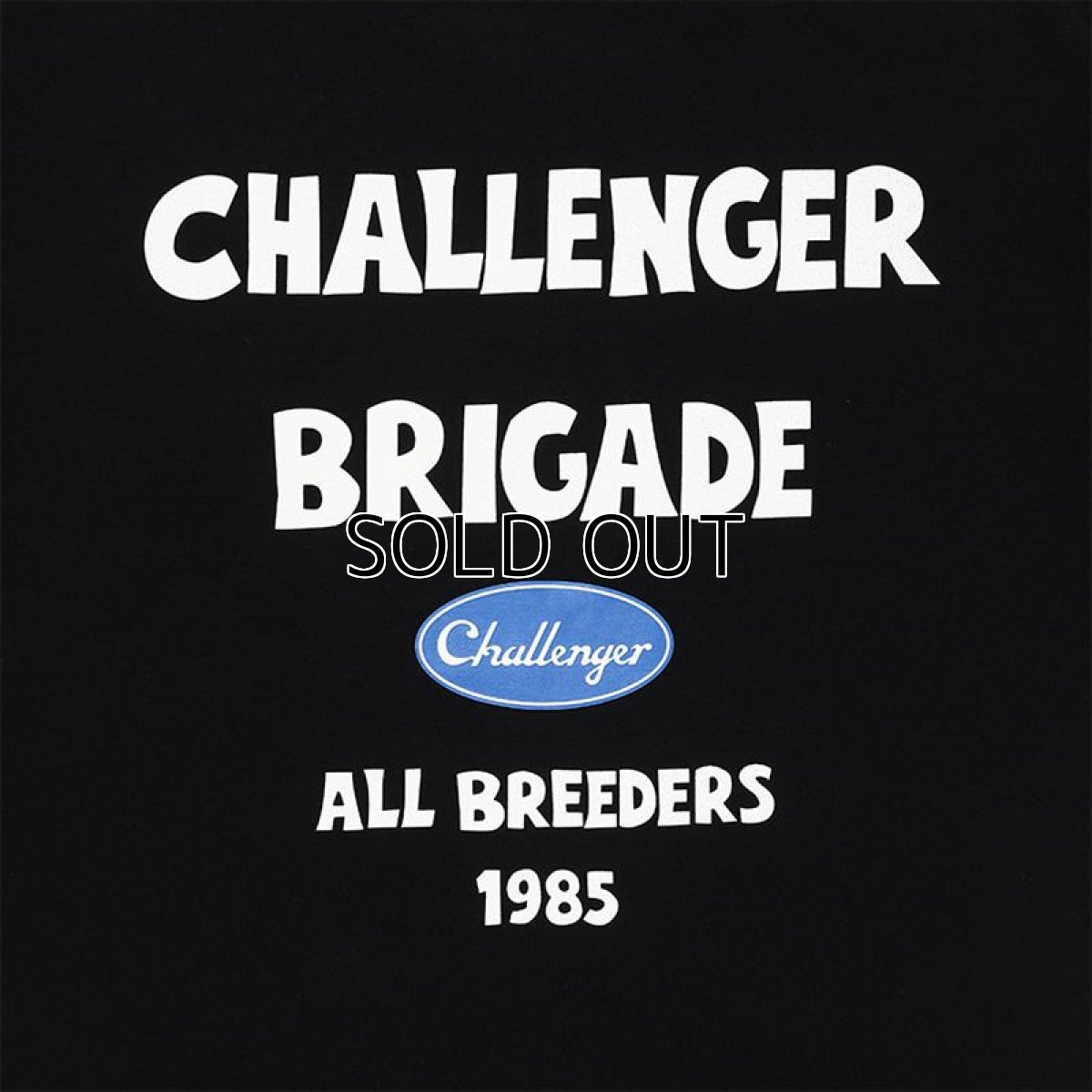 画像2: CHALLENGER Brigade Tee (Tシャツ) (2)