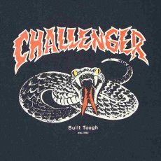画像2: CHALLENGER L/S Pigment Snake Tee (Tシャツ) (2)