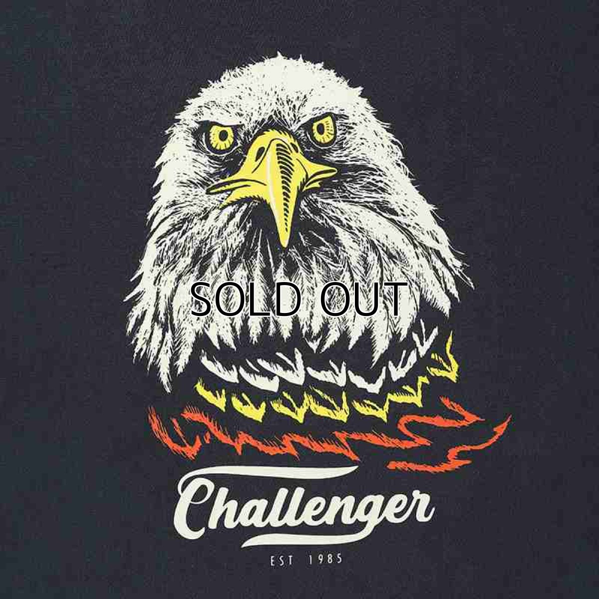画像3: CHALLENGER Eagle Tee (Tシャツ) (3)