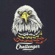 画像3: CHALLENGER Eagle Tee (Tシャツ) (3)